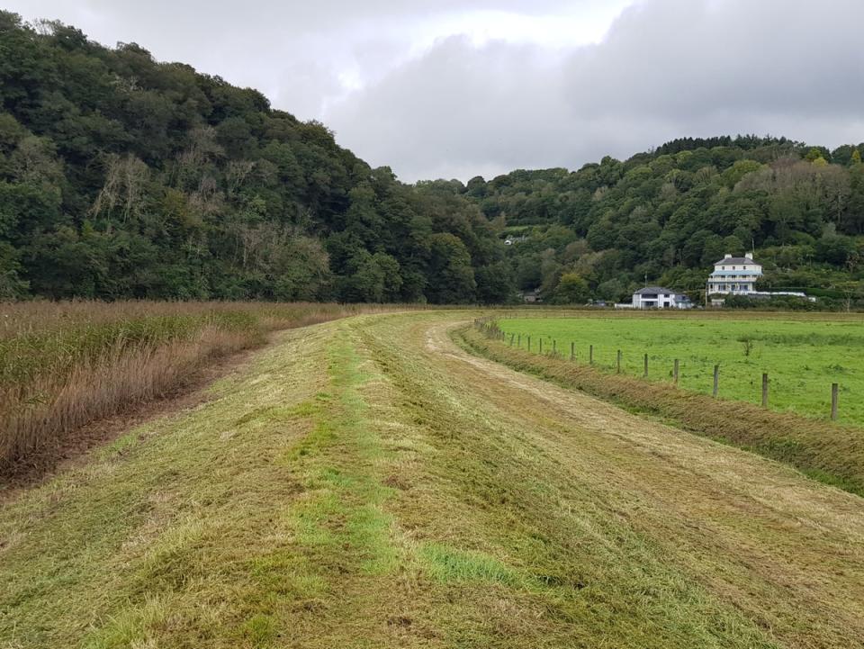 The causeway at Bere Alston (Tom Mulvihill)