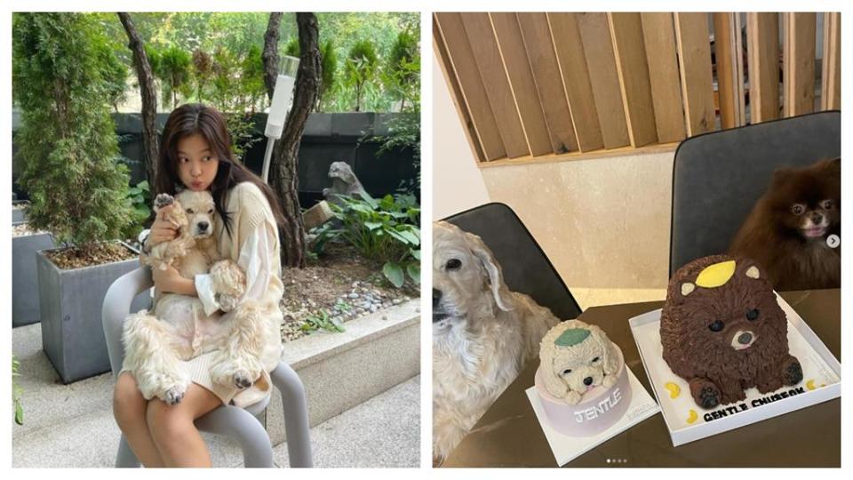 Jennie曬愛犬露餡「雄厚財力」！1畫面狂噴50萬網哭：想當狗