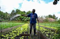 Members of the National Association of State Departments of Agriculture (NASDA) visit Cuba