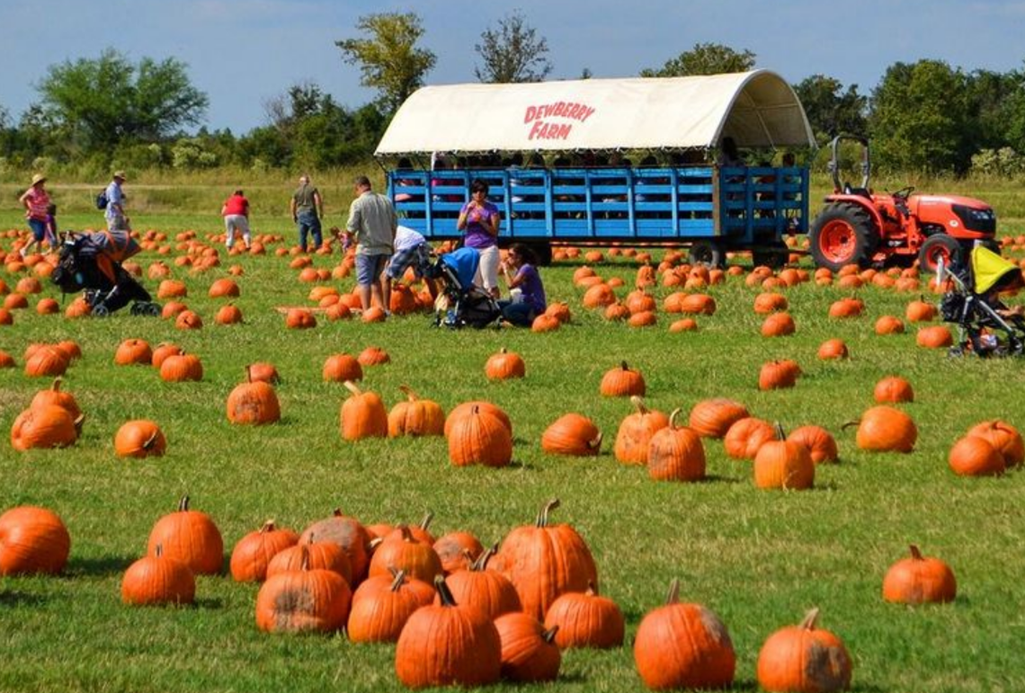 Dewberry Farm Dewberry Farm