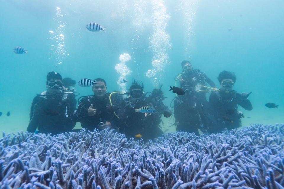 台亞風能與海洋公民基金會等機構、團體，在澎湖鎖港里杭灣聯手啟動「珊瑚復育行動」。（台亞風能提供）