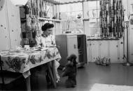 <p>It's unclear when this photo of White at home with her poodle Danny was taken, but given the Emmy in the background (sitting on top of the television), it had to be after 1952. That's when she won her first regional Emmy award for "most outstanding female personality."</p>