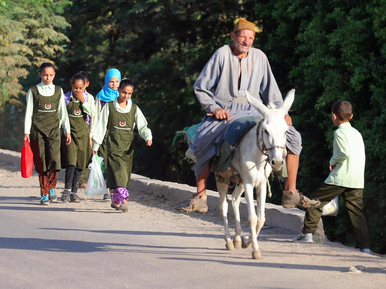 Cairo Egypt School Children Horse