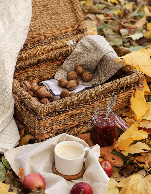 fall party ideas picnic