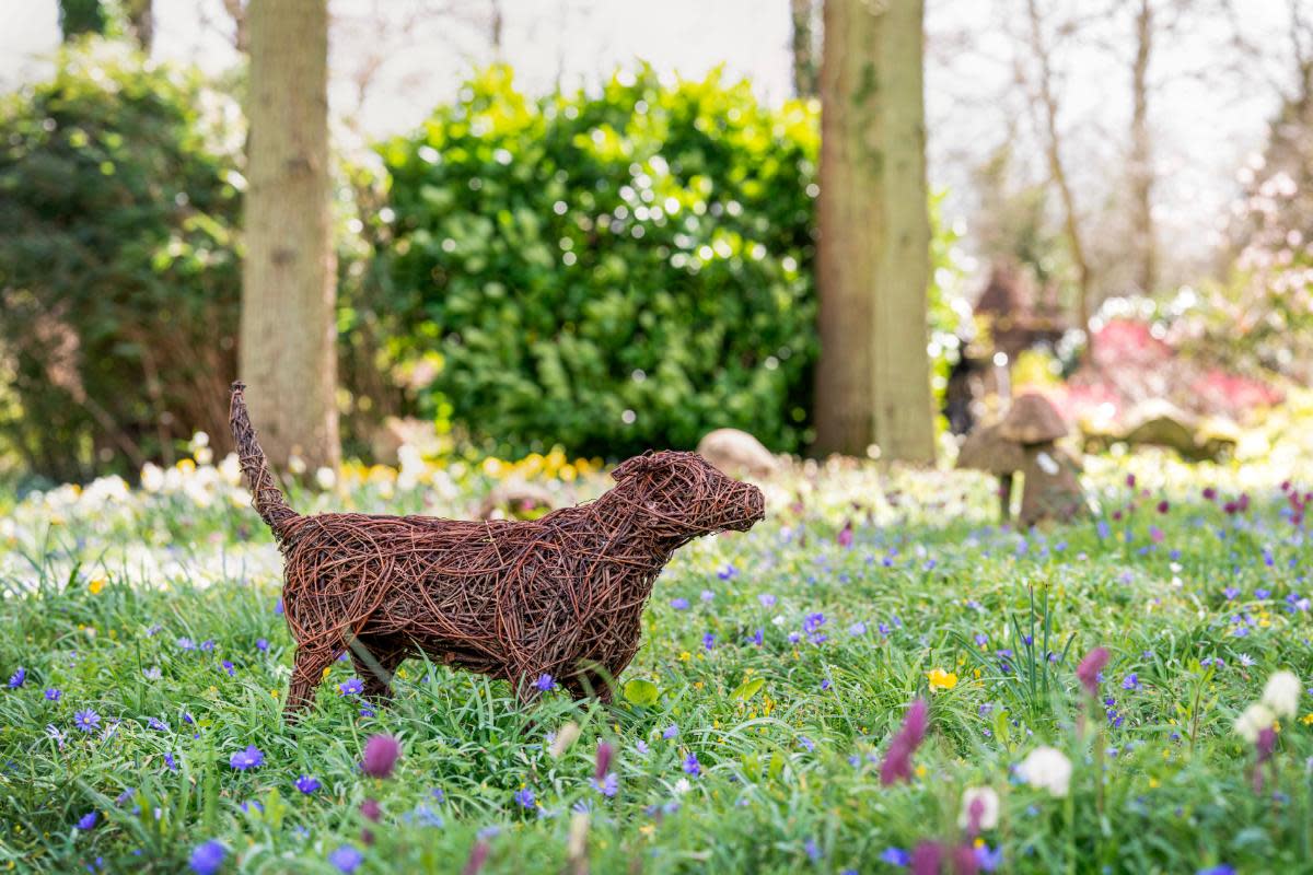 Willow sculptures of the Queen’s beloved dogs Beth and Bluebell are to make an appearance at the Chelsea Flower Show this year. <i>(Image: PA)</i>