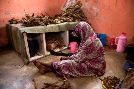 The Wider Image: Tanzania's Zanzibar begins to register traditional healers