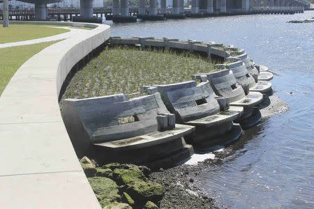 The new "Living Shoreline" is shown in this July 9, 2015 handout photo provided by Palm Beach County July 14, 2015 in Lake Worth, Florida. REUTERS/Palm Beach County/Handout via Reuters