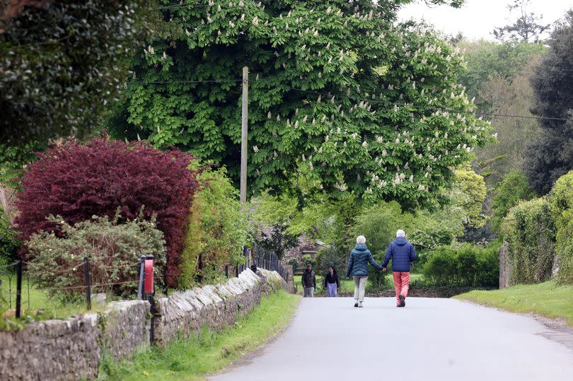 The country road passing through Merthyr Mawr