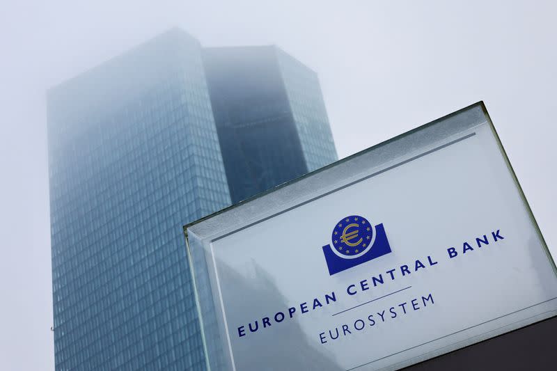 FILE PHOTO: ECB building in fog, in Frankfurt