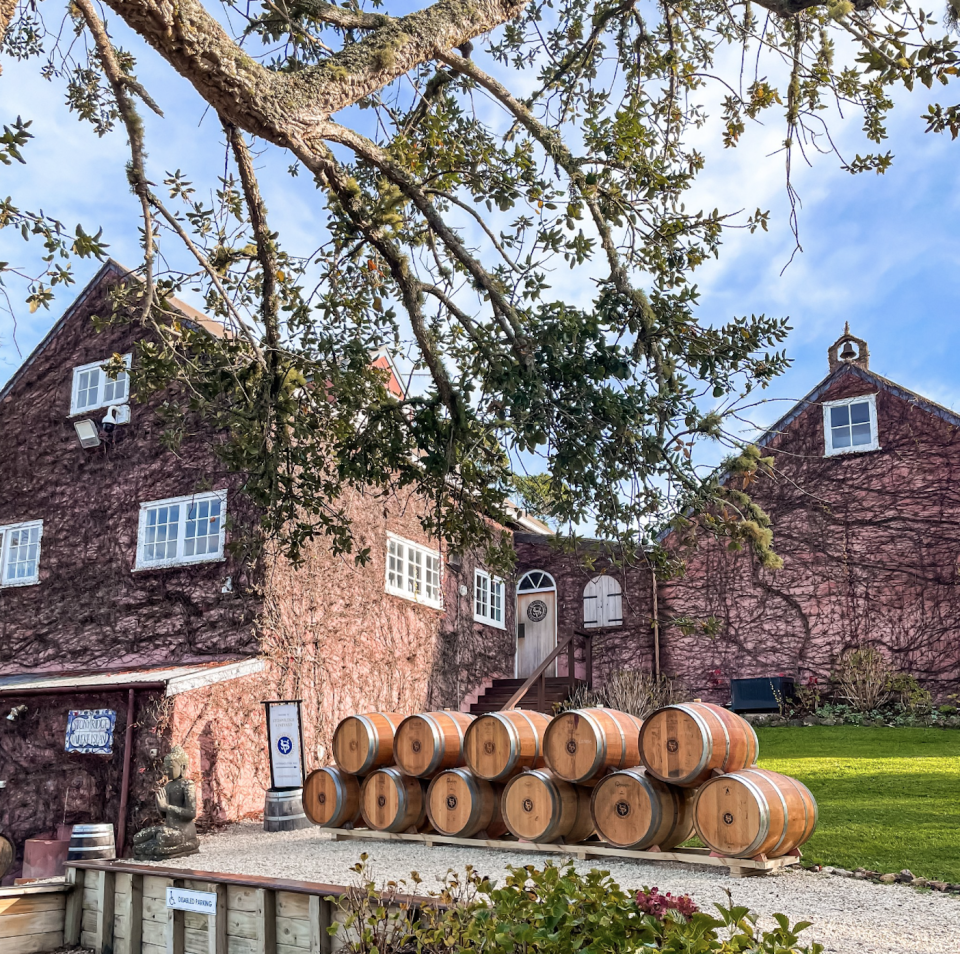 Waiheke Island's Stonyridge Vineyard 