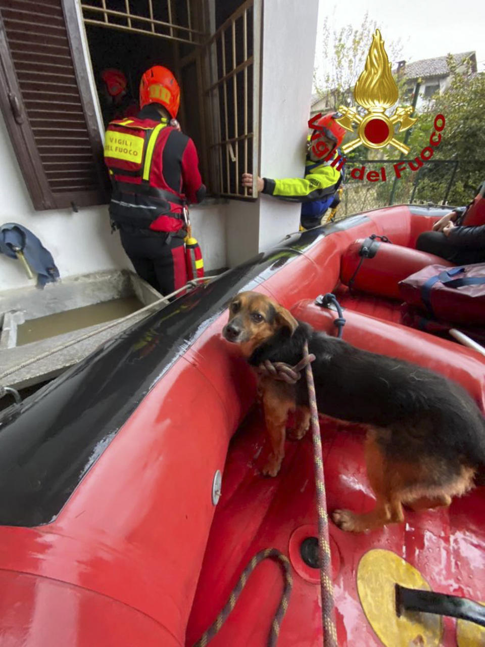 An evacuated dog sits in a dinghy as firefighters evacuate a house in Carde', near Cuneo, in the Piedmont region of northern Italy, after floods, Sunday, Nov. 24, 2019. Heavy rains and bad weather have been hitting most of Italy, causing river areas to overflood and isolate hamlets. (Italian Firefighters Vigili del Fuoco via AP)