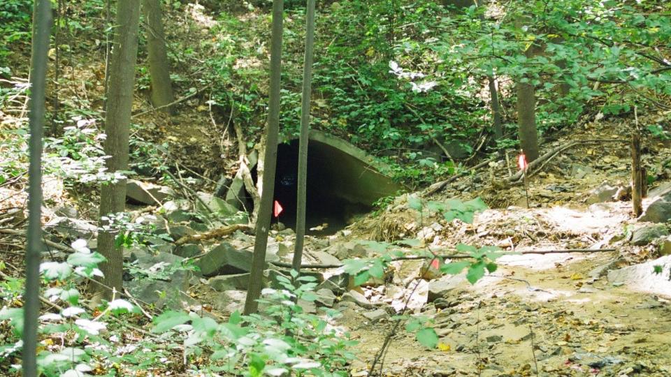 Patricia Agnes Gildawie, known by loved ones as Choubi, has been identified through genetic genealogy as the person whose bones were found in this drainage ditch in September 2001 in McLean, Virginia. Gildawie, who vanished in 1975 at age 17, died of a gunshot wound to the head.