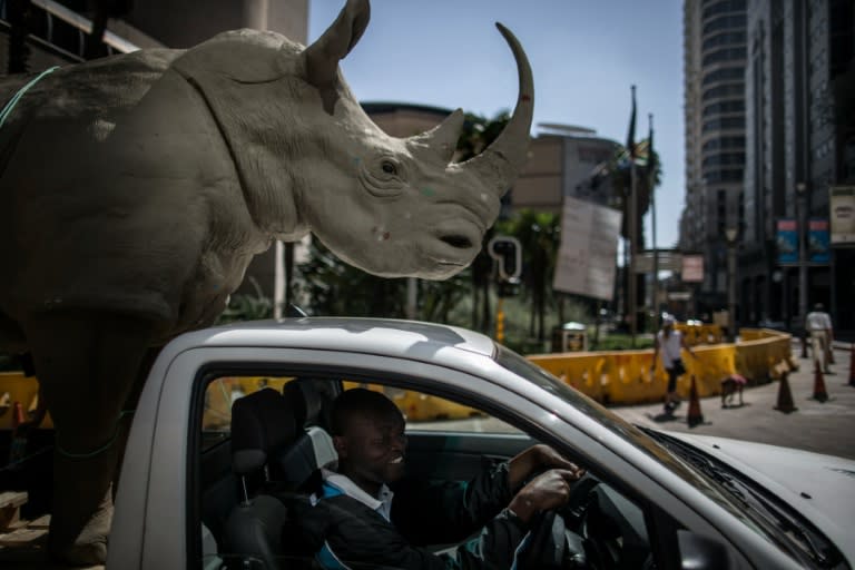 A man drives a pick-up truck carrying a mock rhino during a demonstration marking the opening of the Convention on International Trade in Endangered Species of Wild, Fauna and Flora (CITES) in Johannesburg on September 24, 2016