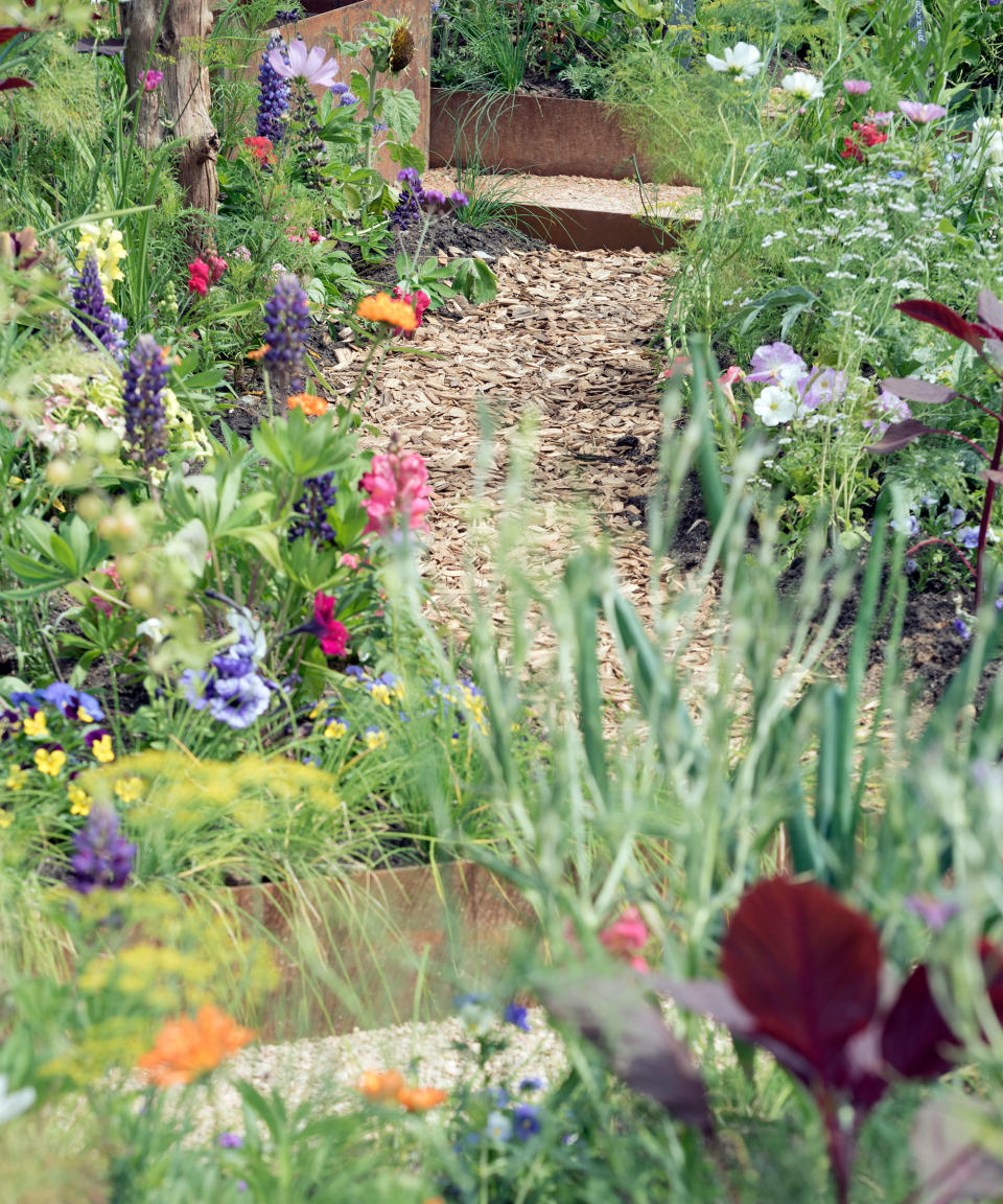 bark chippings pathway leading through flowerbeds