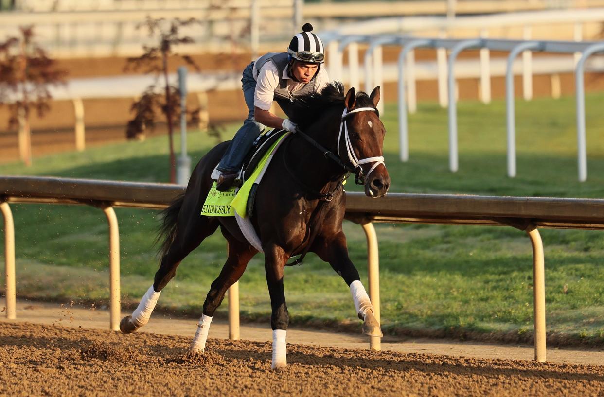 LOUISVILLE, KENTUCKY - MAY 01: Endlessly runs on the track during the morning training for the Kentucky Derby at Churchill Downs on May 01, 2024 in Louisville, Kentucky. (Photo by Andy Lyons/Getty Images)