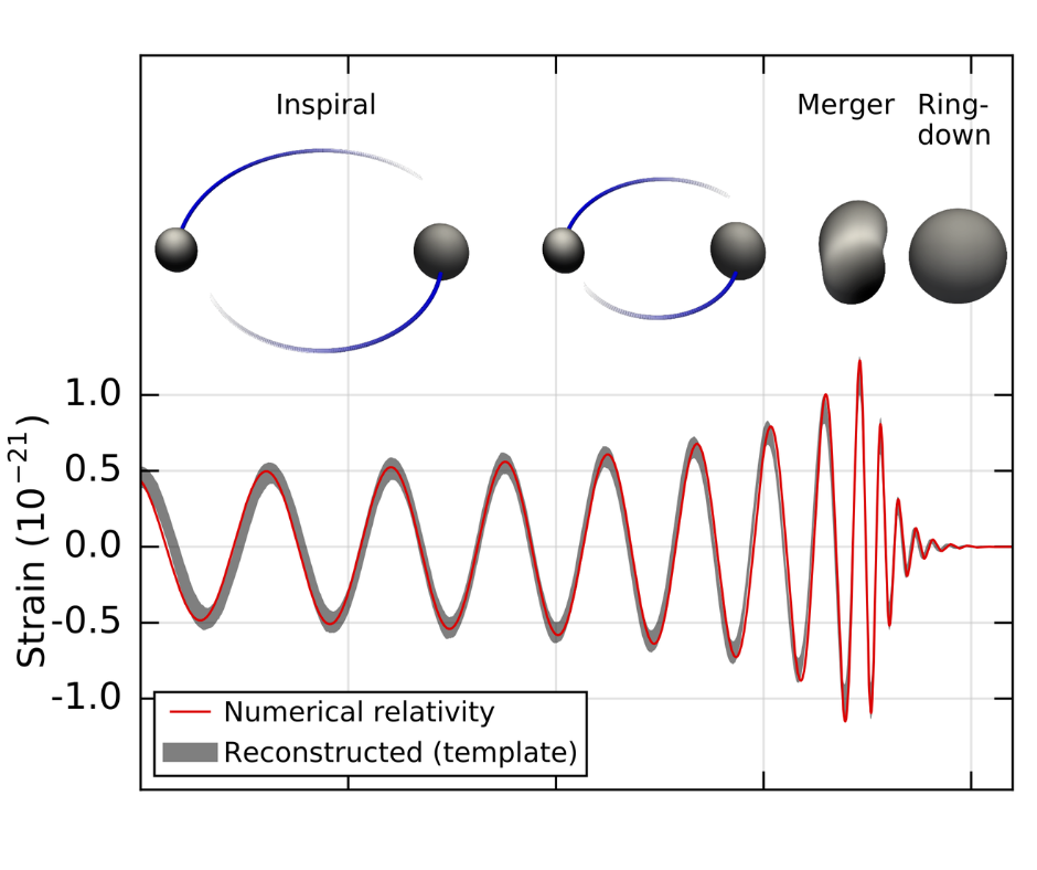 Ein Diagramm, das die Frequenzen der Gravitationswellen zeigt, die von binären Schwarzen Löchern während des Verschmelzungsprozesses ausgesendet werden