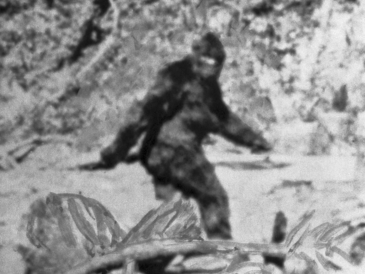 bigfoot