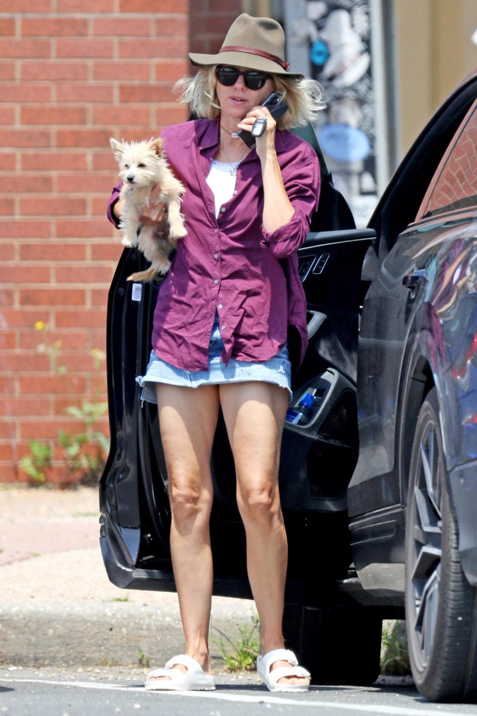 <p>Naomi Watts carries her dog while out and about in The Hamptons, New York, on Thursday.</p>