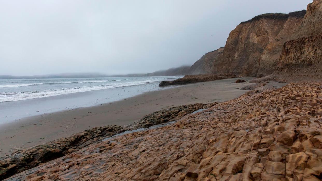 <div>The fog rolls in along the coast at Drakes Beach in Inverness, California on December 13, 2019. (Photo by Philip Pacheco / AFP) (Photo by PHILIP PACHECO/AFP via Getty Images)</div>
