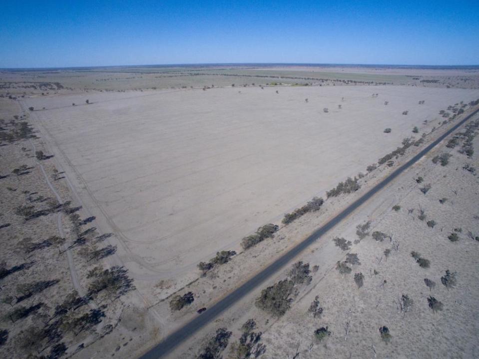 Cleared land near Walgett