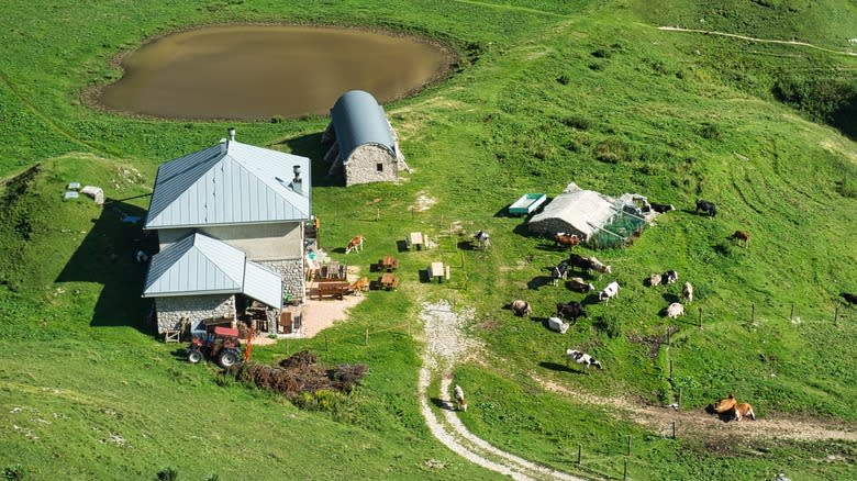 Albaner der Schweizer Alpen von oben