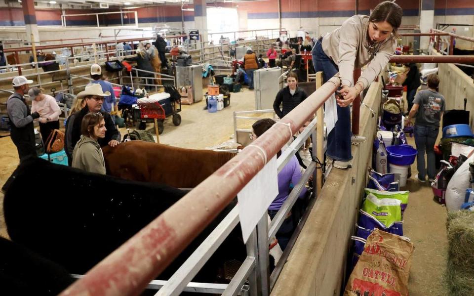 Ashlyn Leyva, 17, right, helps set up the pens for Aledo FFA at Cattle Barn 1 at the Fort Worth Stock Show & Rodeo. Leyva said that setting up usually takes a couple hours, but the real wait is in the trailer line. The group began the process at 6 a.m.