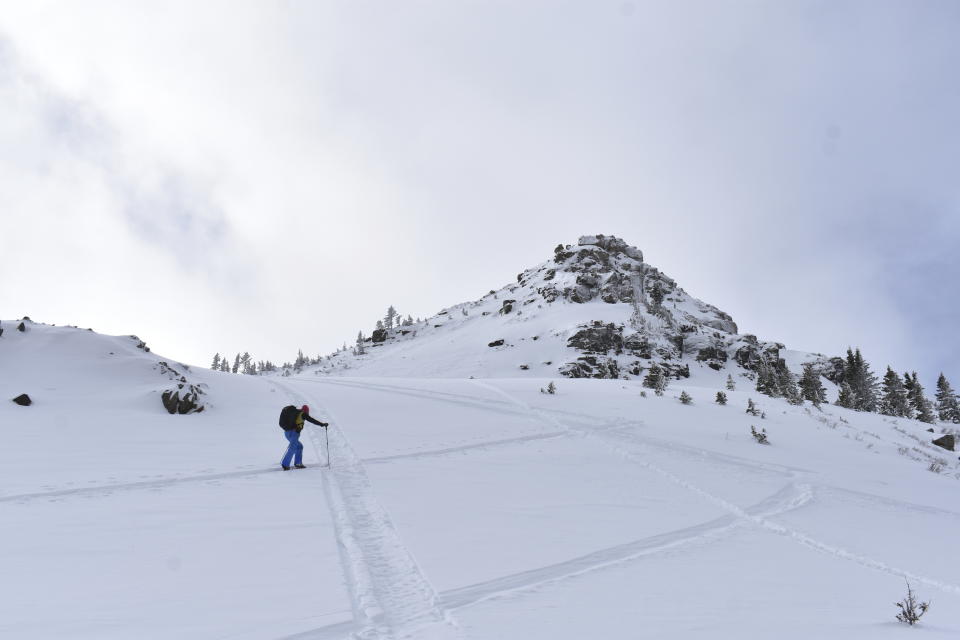 Doug Chabot, with the Gallatin National Forest Avalanche Center, climbs the side of Henderson Mountain to inspects the site of a recent avalanche, Jan. 29, 2024, near Cooke City, Mont. (AP Photo/Matthew Brown)