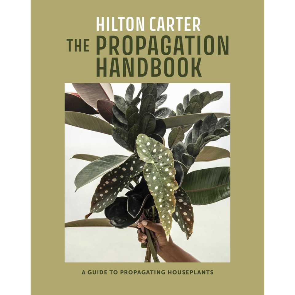 The Propagation Handbook: A guide to propagating houseplants