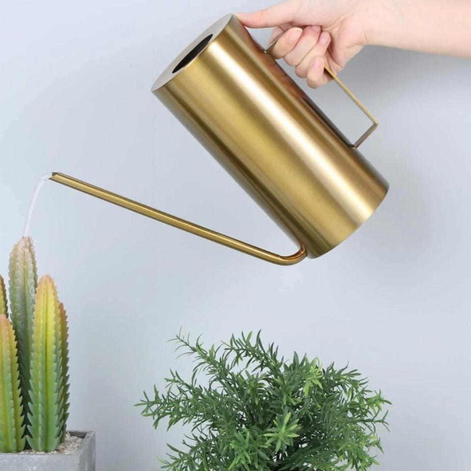 Any plant lover will tell you that as their collection grows, watering day often means making multiple cumbersome trips to the sink and back for refills. This chic midcentury modern-style watering can actually hold one and half liters (roughly 50 ounces) of water at a time, features a precision spout and is made from an anti-rust stainless steel. This can is also available in both a matte black and silver.You can buy a metal watering can from Etsy for around $45.