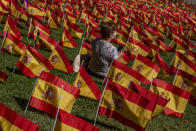 A woman sits among the Spanish flags placed in memory of coronavirus (COVID-19) victims in Madrid, Spain, Sunday, Sept. 27, 2020. An association of families of coronavirus victims has planted what it says are 53,000 small Spanish flags in a Madrid park to honor the dead of the pandemic. (AP Photo/Manu Fernandez)