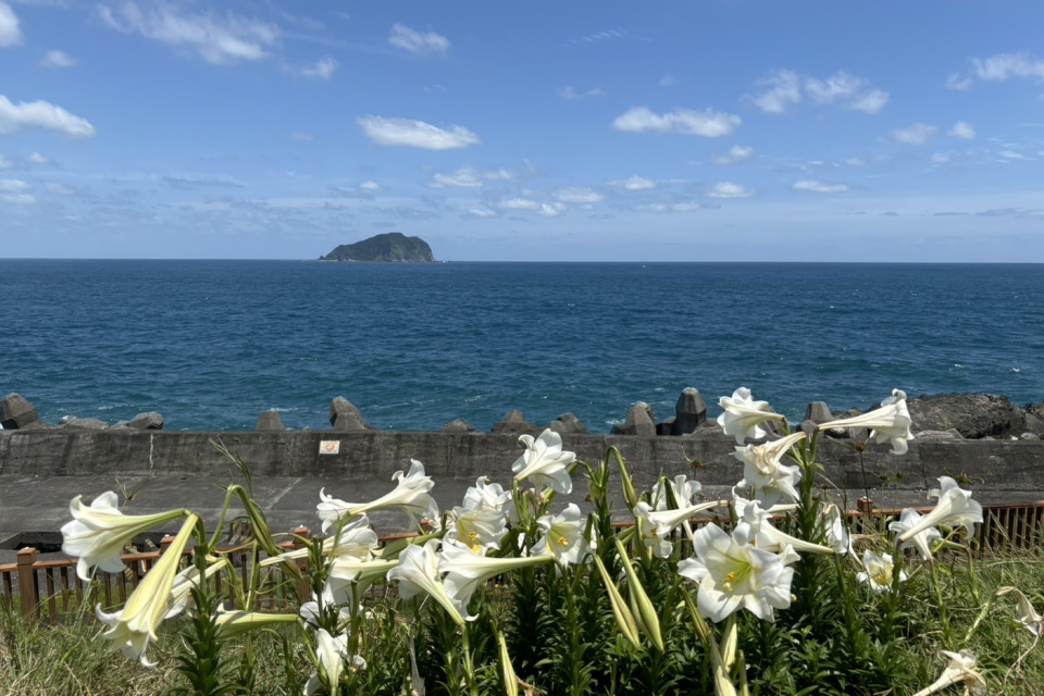 海科館特別在518博物館日舉辦「海科手植‧八里復育」的親子活動。（海科館提供）