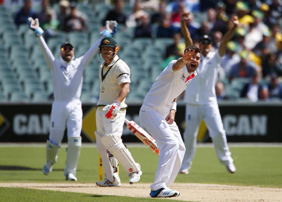 England's James Anderson (2nd R) appeals unsuccessfully for the leg before wicket of Australia's David Warner (2nd L) during the first day's play of the second Ashes test cricket match in Adelaide December 5, 2013.