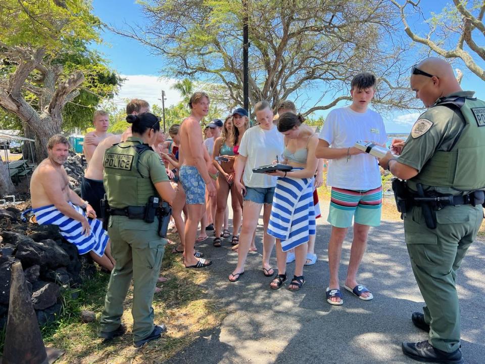A group of 33 people are under investigation after they were found to be harassing a pod of dolphins off the coast of Hawaii's Big Island.  / Credit: Hawaii Department of Land and Natural Resources
