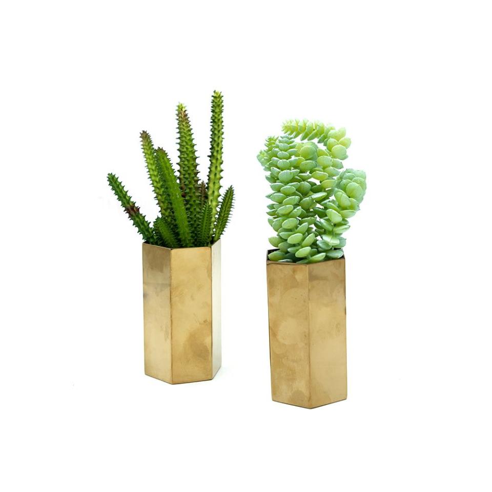 Artificial Succulents