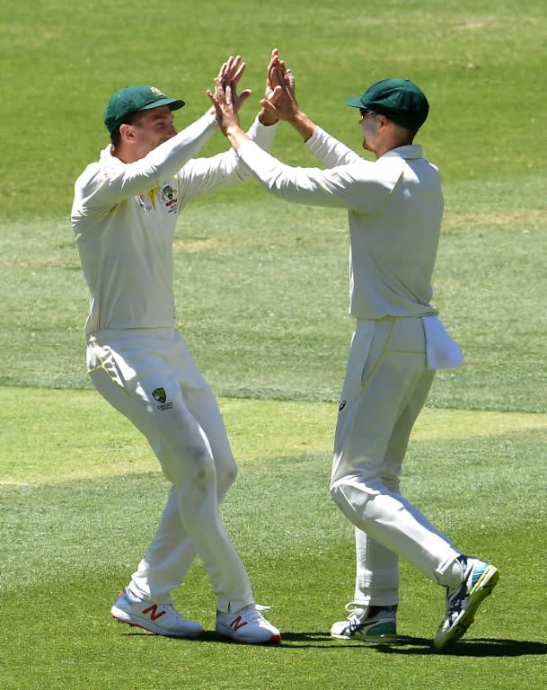 Australia's Shaun Marsh (left) and Peter Handscomb celebrate the dismissal of India's batsman Rishabh Pant