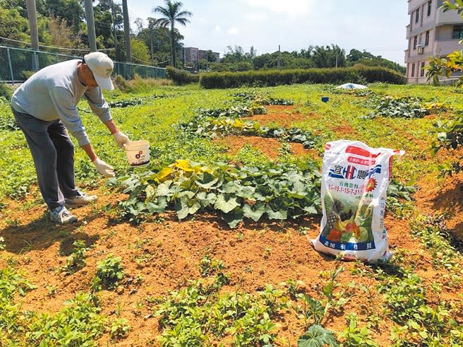 農民職災保險2018年推出，但推動3年桃園投保率不到3成，議員力促投保要達百分百，提供農民多一層保障。（蔡依珍攝）