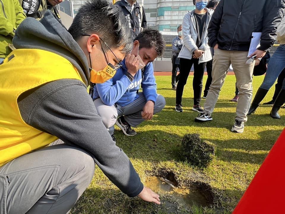 新竹市議員日前至新竹市立棒球場會勘，發現草皮區竟長出數朵香菇，引發網友熱議。（翻攝自新竹市議員林彥甫臉書）