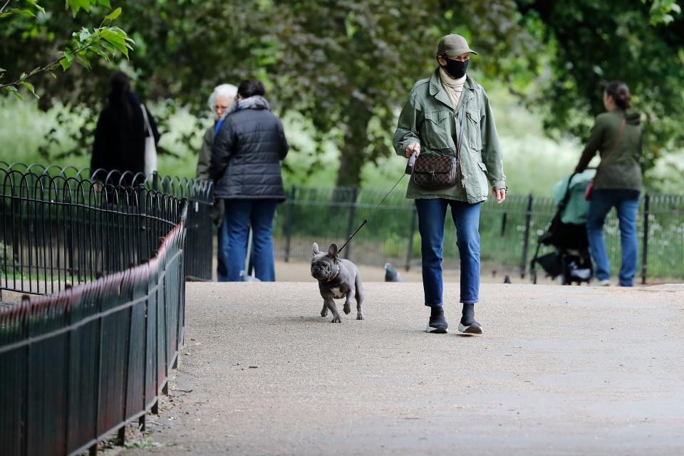 A woman walks a dog in St James's Park in London.