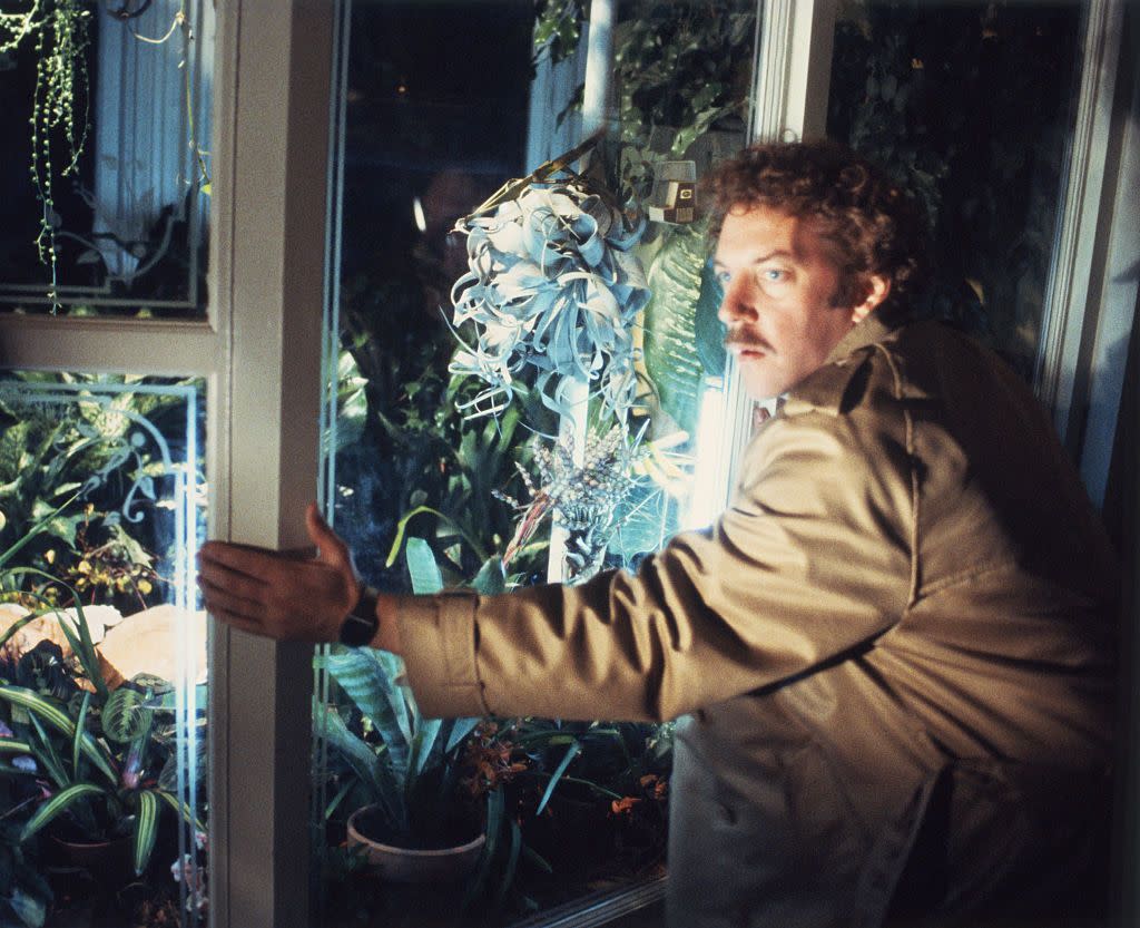 on the set of invasion of the body snatchers