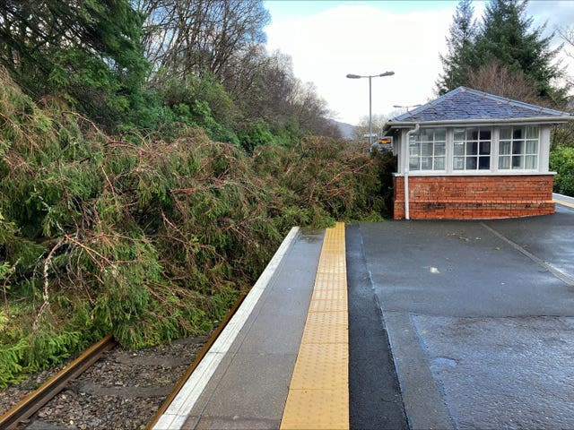 A fallen tree on the line at Arrochar & Tarbet in Scotland