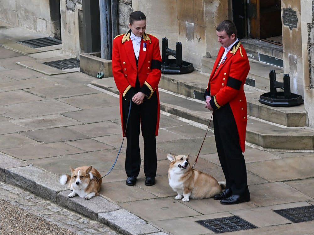 Die Corgis Muick und Sandy warteten an der Leine auf den Sarg ihrer Herrin. (Bild: GLYN KIRK/POOL/AFP via Getty Images)