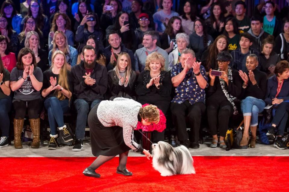 The dog took home the show's top prize after winning the Toy Group earlier in the day.