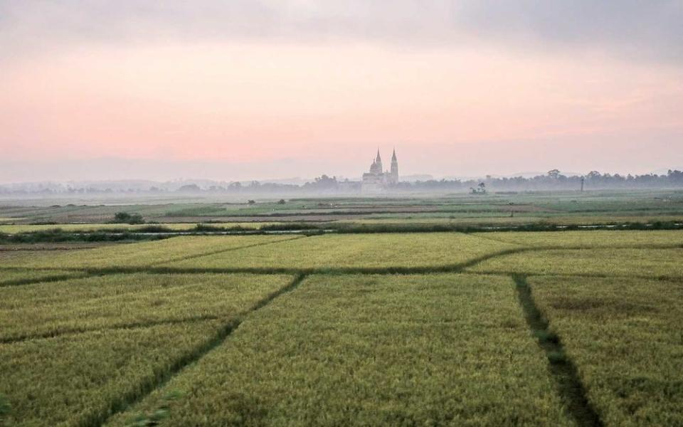 Rice paddies in the province of Ha Tinh, with the Parish Church of Thinh Lac on the horizon.