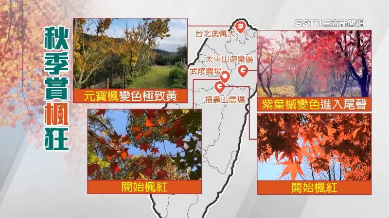 台灣7大知名賞楓熱點。