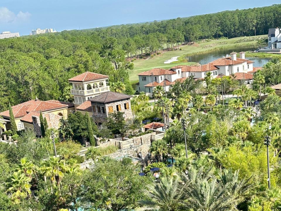 View of palm trees from above at Golden Oaks community