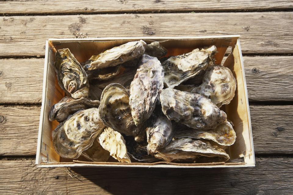 Box filled with oysters