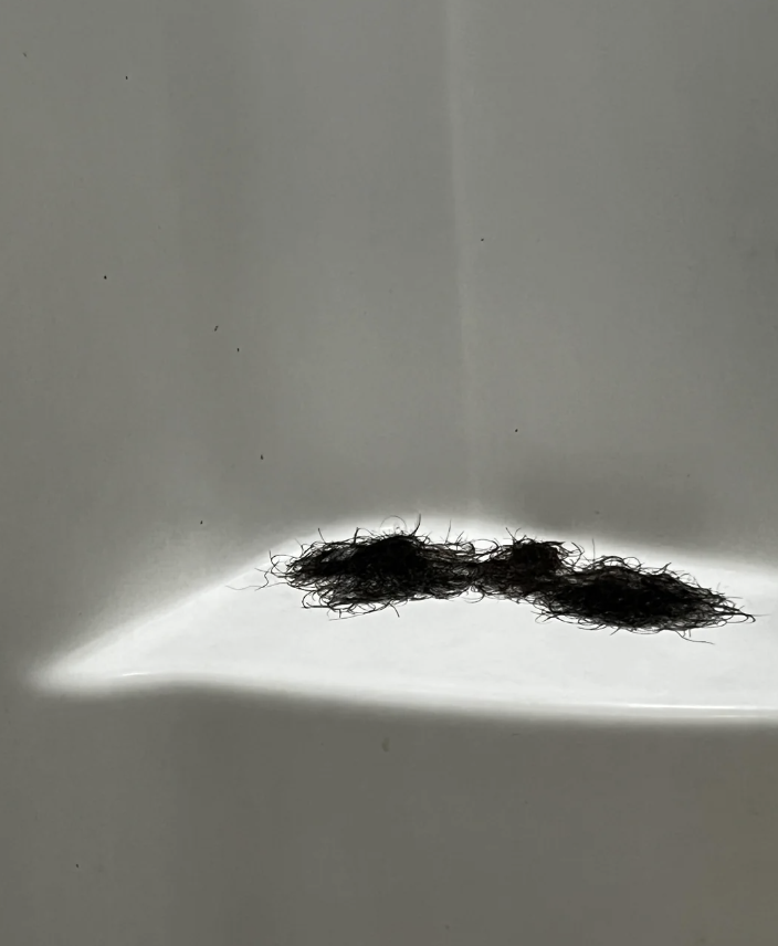 Hair clumps in a bathtub or shower