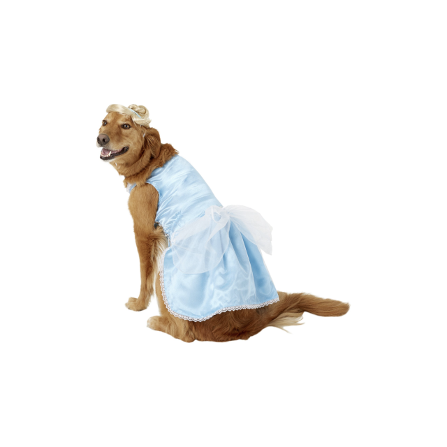 🎃Dog Halloween Costumes - Funny, Large Costumes