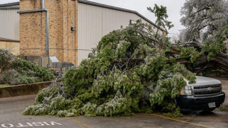 A tree is seen toppled over onto a vehicle on February 01, 2023 in Austin, Texas. A winter storm is sweeping across portions of Texas, causing massive power outages and disruptions of highways and roads.