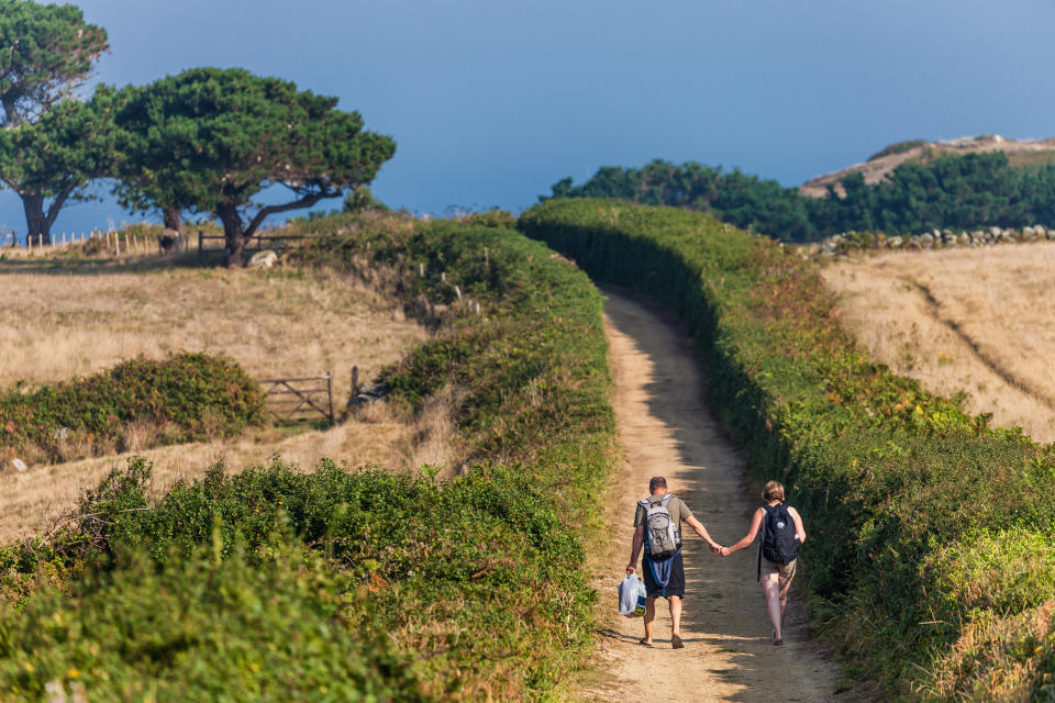 Explore Herm’s beautiful landscapes on a nature walk.